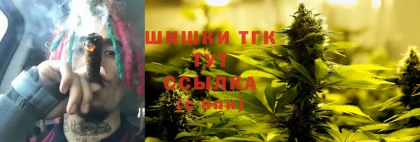 стаф Покачи