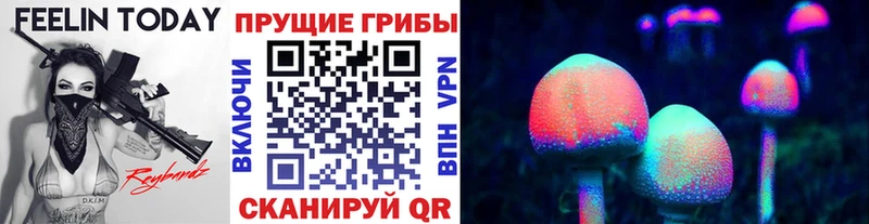Галлюциногенные грибы мухоморы наркота Тайга